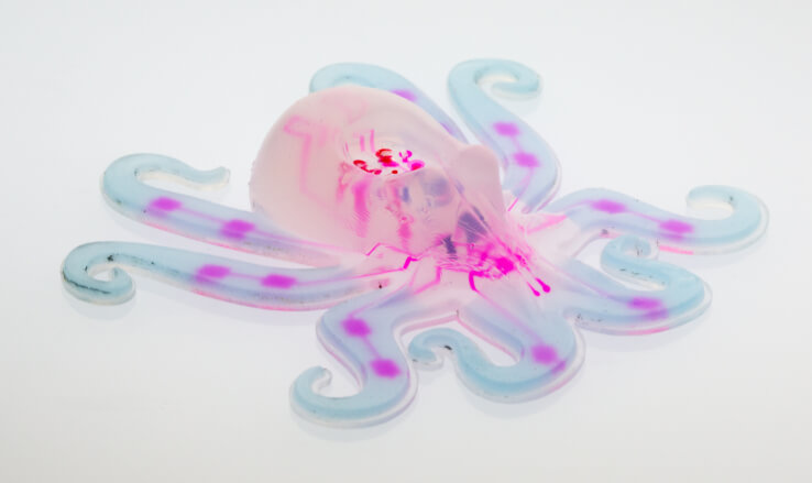 harvard-octobot | harvard-octobot harvard-octobot
