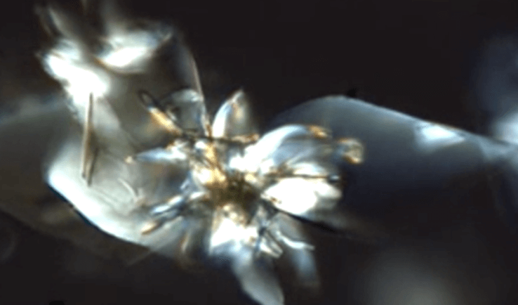 medicine-minibots | medicine-minibots medicine-minibots